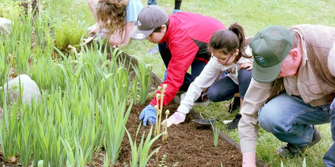 Eco SF Schoolboerderij Vrijwilligerswerkdag | SF