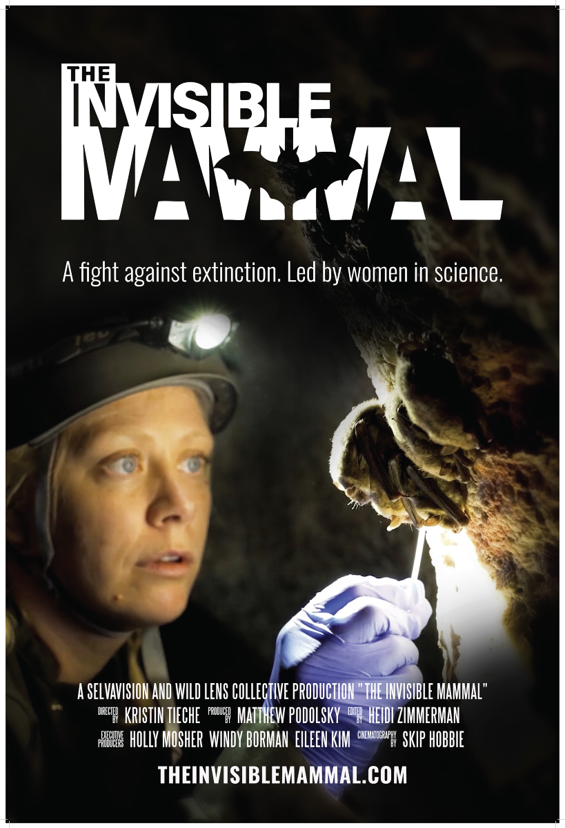 Vleermuisweekscreening van ‘The Invisible Mammal’