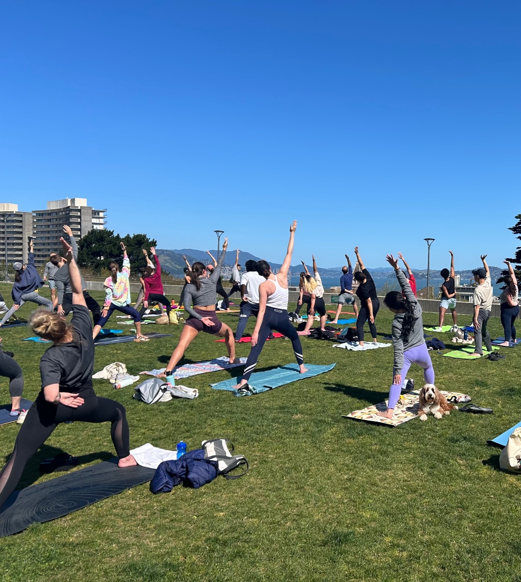Yoga in Franciscopark